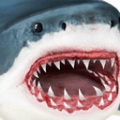 终极鲨鱼攻击免费版
